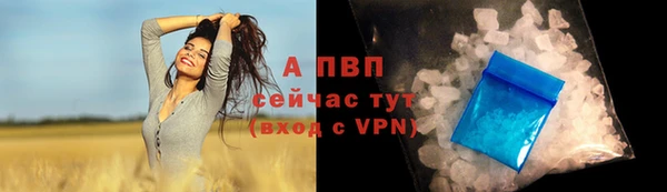 спиды Новокубанск