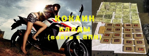 прущие крисы Надым