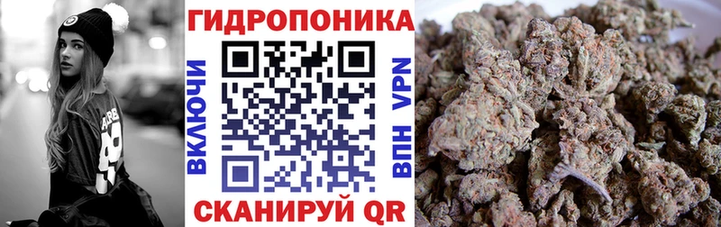 нарко площадка наркотические препараты  наркошоп  Кашин  МАРИХУАНА марихуана 