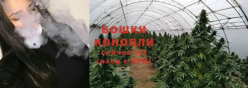 закладки  Кашин  нарко площадка наркотические препараты  МАРИХУАНА OG Kush 